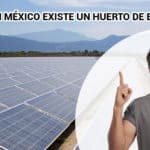 ¿Sabías que en México existe un huerto de energia solar?