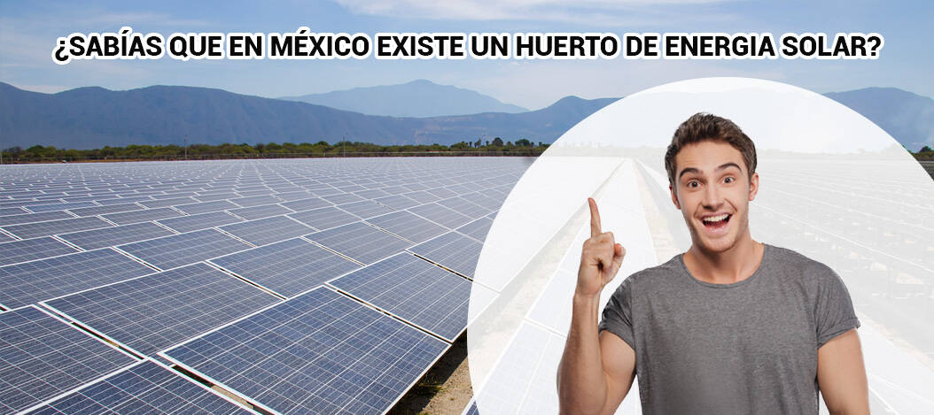 ¿Sabías que en México existe un huerto de energia solar?